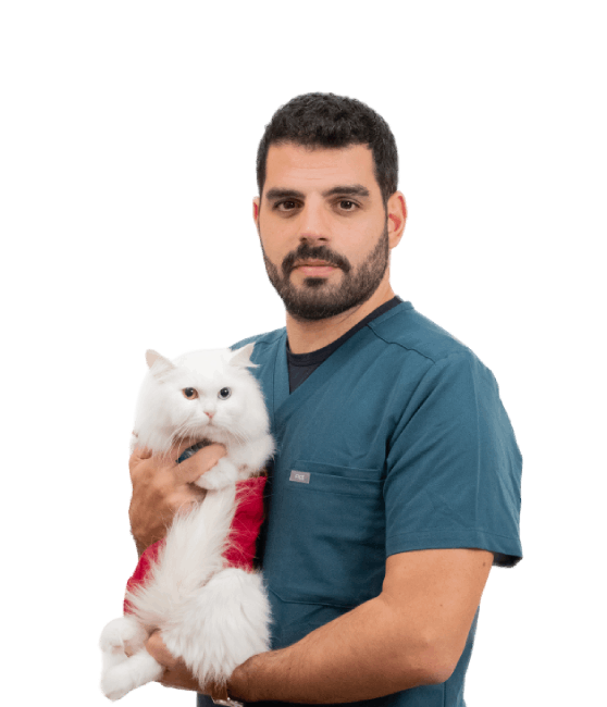 Dr. Jad El Hakim