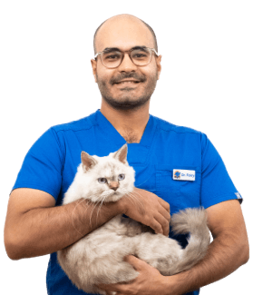 dr-ferky